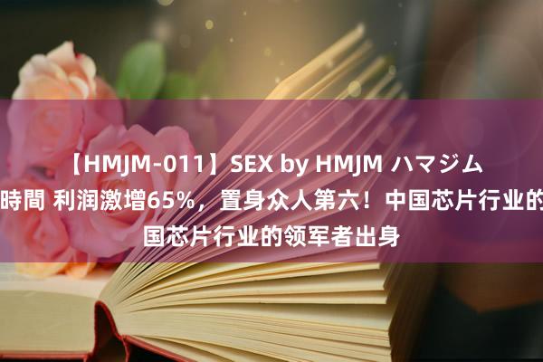 【HMJM-011】SEX by HMJM ハマジムベスト09 6時間 利润激增65%，置身众人第六！中国芯片行业的领军者出身
