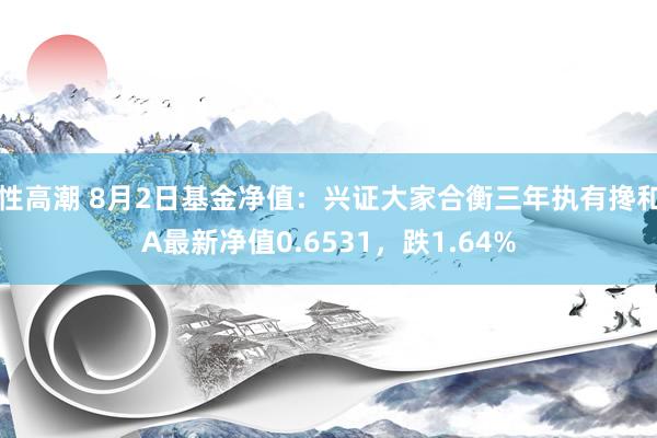 性高潮 8月2日基金净值：兴证大家合衡三年执有搀和A最新净值0.6531，跌1.64%