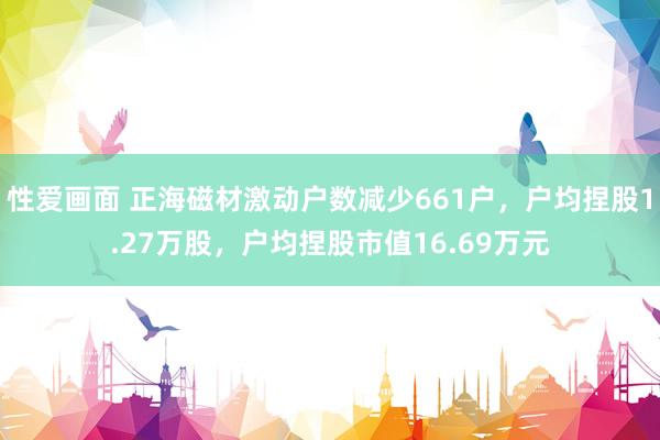 性爱画面 正海磁材激动户数减少661户，户均捏股1.27万股，户均捏股市值16.69万元