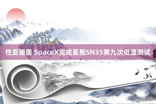 性爱画面 SpaceX完成星舰SN35第九次低温测试