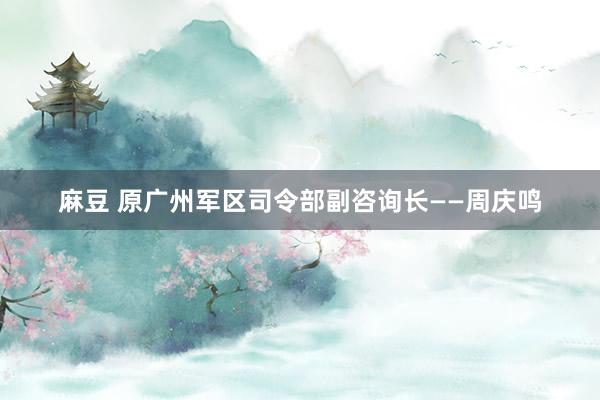 麻豆 原广州军区司令部副咨询长——周庆鸣