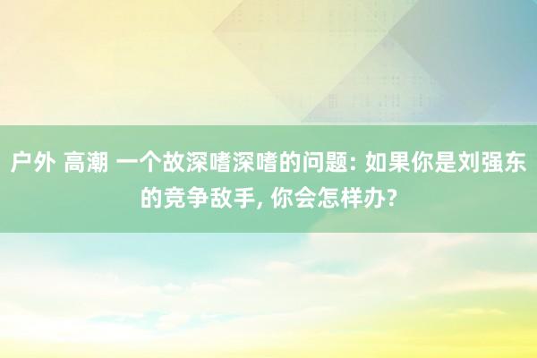 户外 高潮 一个故深嗜深嗜的问题: 如果你是刘强东的竞争敌手， 你会怎样办?